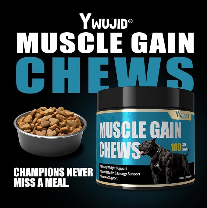 Dog Muscle Gain Power Chew-Canine Weight Gainer Formula,High Protein