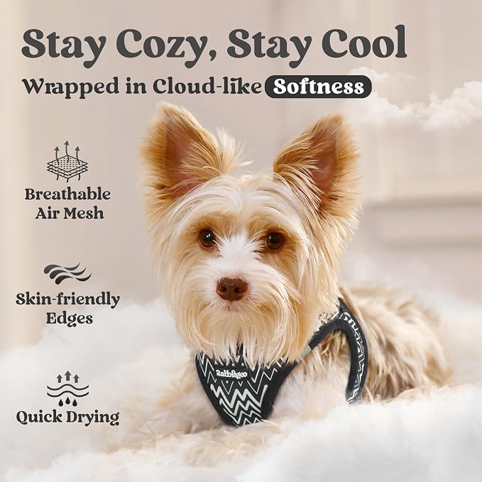 rabbitgoo Step-in Small Dog Harness, Puppy Vest for Small Sized Pet | Easy Put on and off, Lightweight, Soft, Breathable Quick-Dry Air Mesh for Comfortable Secure Walking, Black Zigzag M