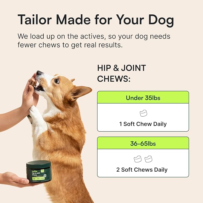 Wuffes Hip & Joint Supplement and Daily Probiotic Bundle for Small and Medium Dogs