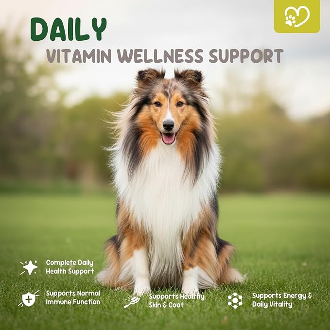 22-in-1 Grain-Free Dog Multivitamin Supplement – 90 Soft Chews for Hip & Joint Health, Immune Support, Healthy Coat & Overall Wellness – Vitamins A, B12, C, D, E, Minerals, and Antioxidants