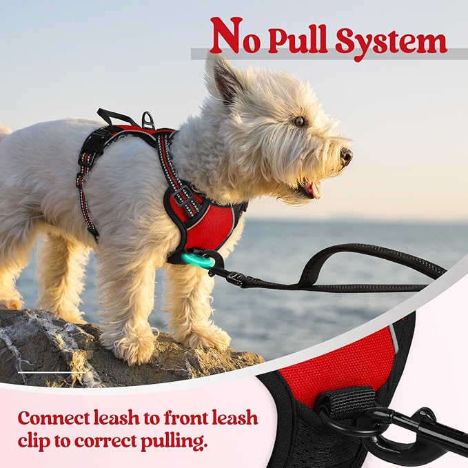 rabbitgoo Dog Harness, No Pull for Small Dogs with 2 Leash Clips, Pet Vest | No Choke, Adjustable, Breathable Padded, 2 Lead Rings, Reflective, Easy Control for Walking Training, XS, Red
