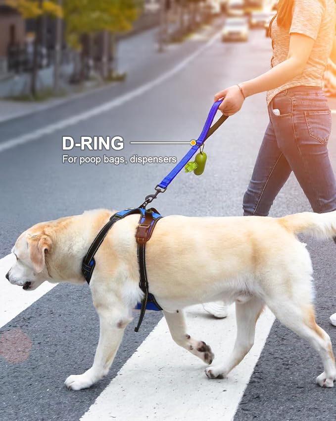 Joytale Short Dog Leash for Close Control & Training, 18", Royal Blue | Padded Comfort Handle, Reinforced Nylon Webbing, Secure Metal Clip, for Busy Streets & Heel Training