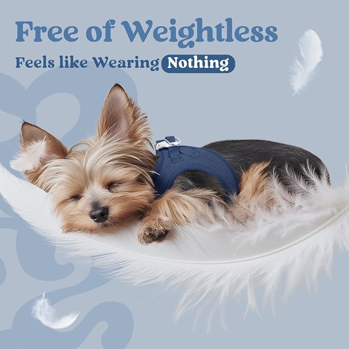 rabbitgoo Step-in Small Dog Harness, Puppy Vest for Small Sized Pet | Easy Put on and off, Lightweight, Soft, Breathable Quick-Dry Air Mesh for Comfortable Secure Walking, Navy Blue XXS