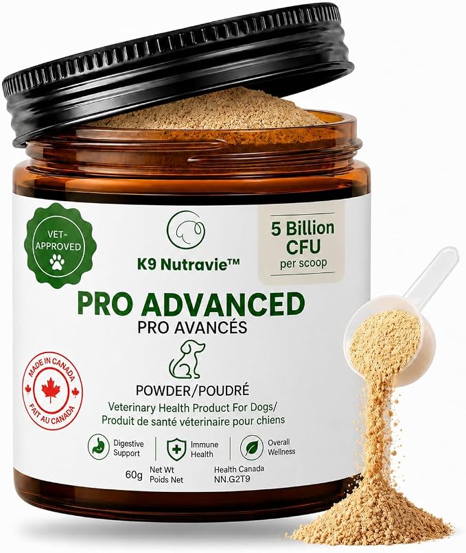 Dog Probiotic Powder for Digestive Support | 5 Billion CFU | Gut Health & Immunity Support | Mix-in Powder | 60g | Unflavoured (60g)