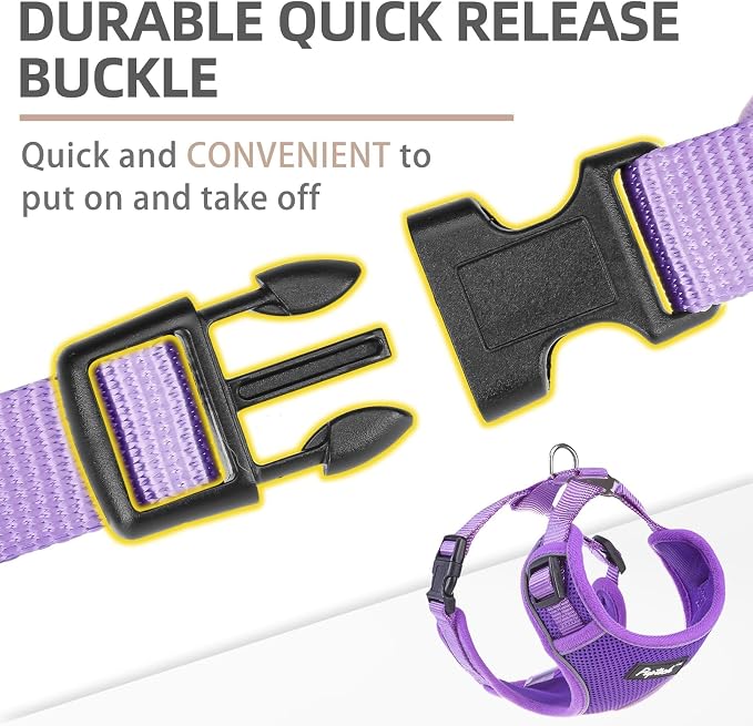PUPTECK Small Dog Harness and Leash Set, No Pull Adjustable Puppy Cat Harness, Reflective Soft Mesh Pet Vest Small Sized, Purple, XS
