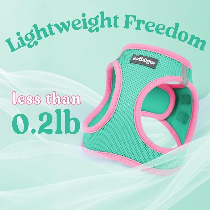 rabbitgoo Dog Harness Small Sized and Leash Set, Step in Soft Vest | Breathable Mesh, Easy Wear with Hook & Loop, Light and Reflective for Walking, Multi-colored, Teal & Pink, L