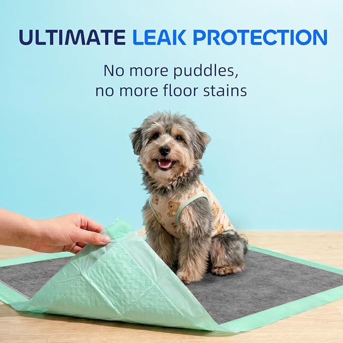 Pawtasy Charcoal Dog Pee Pads XXL, 30 Count,28" x 34" Extra Large Disposable Puppy Training Pads with Bamboo Charcoal Odor Control, 5-Layer Super Absorbent & Leak-Proof Pet Potty Pads for Dogs, Cats