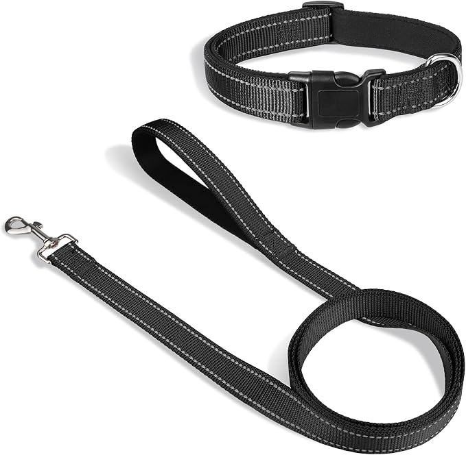 Joytale 12-16 inches Dog Collar and 6FT Leash, Reflective Soft Neoprene Padded Pet Collars and Leashes for Small Dog