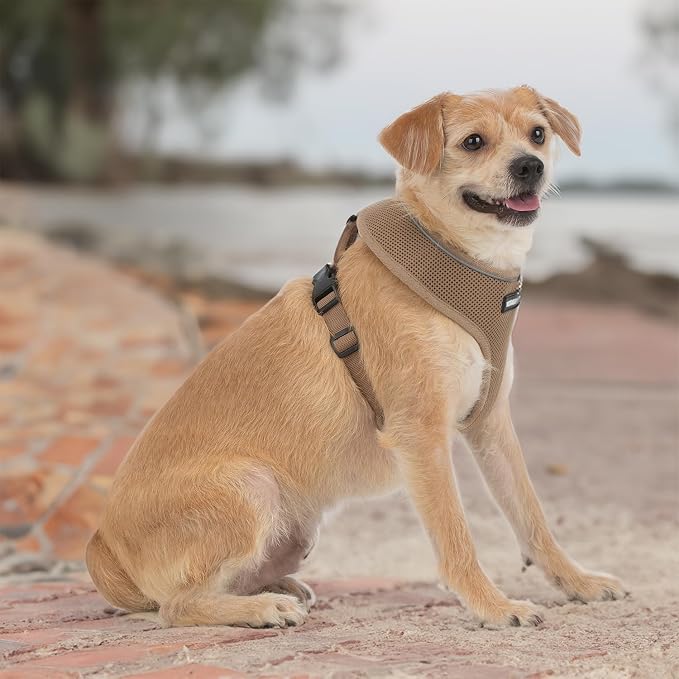 Best Pet Supplies Voyager Aerolite Over the Head Dog Harness, No Pull Breathable Air Mesh Vest, Quick Dry with Reflective Stitching, Adjustable Escape Resistant Harness - Beige, Medium
