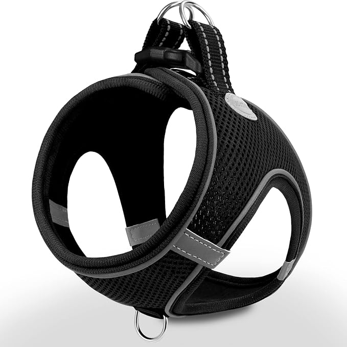 Joytale Step-in Dog Harness, Soft Breathable Mesh, Black M | Adjustable Fit for Small Dogs, Easy Step-in with Secure Fastener, Even Chest Pressure, Reflective For Night Safety, Washable