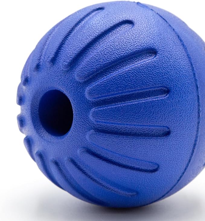 Leerburg Foam Ball Dog Toy – Durable, Safe Fetch Toy for Dogs, Floats in Water (Blue)