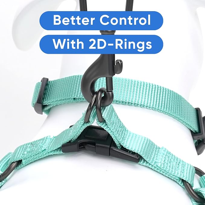 Pawtitas Solid Step-in Dog Harness – Adjustable No-Pull Vest for Puppies to Seniors, Safe & Comfortable S Teal