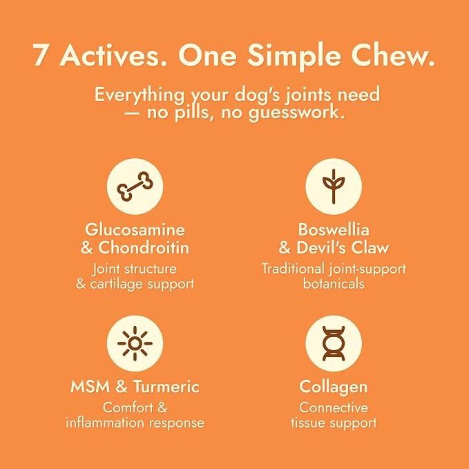 Pet Vet Hip & Joint Supplement for Dogs Glucosamine Beef Liver 60 Chews