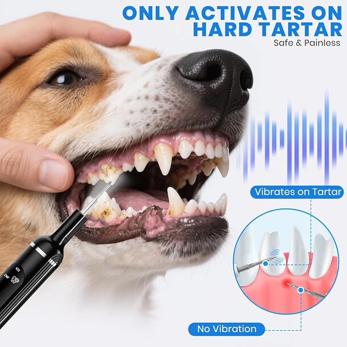 Pet Ultrasonic Tooth Cleaner,Dog Plaque Remover Tool,Black | dog teeth cleaning,plaque remover for teeth,dog tartar and plaque remover,plaque off for dogs,5 Mode Pet Teeth Cleaning Kit