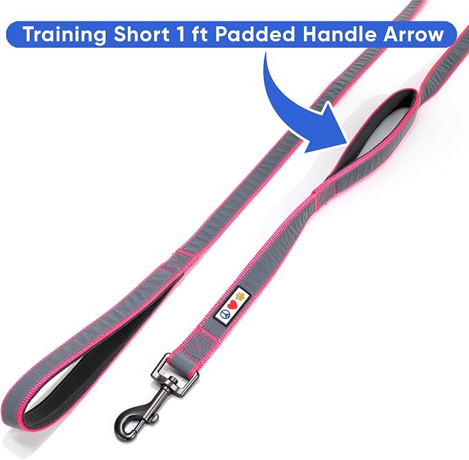 Pawtitas Double Handle Dog Leash Heavy Duty for Training No Pull Leashes Ideal for Medium and Large Dogs | Great for Walking, Running & Training Dog Leash - Medium/Large - Pink