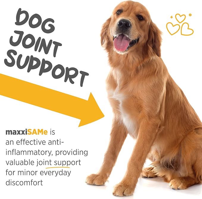 maxxipaws maxxiSAMe SAM-e for Dogs, Liver & Cognitive Support Powder 5.3 oz