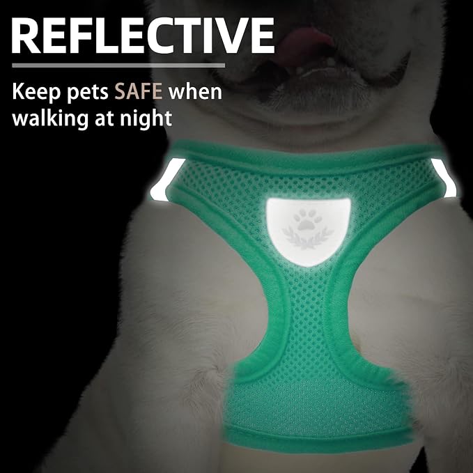 PUPTECK Adjustable Dog Harness Collar and Leash Set Step in No Pull Pet Harness for Small Medium Dogs Puppy and Cats Outdoor Walking Running, Soft Mesh Padded Reflective Vest Harnesses, Solid Green L