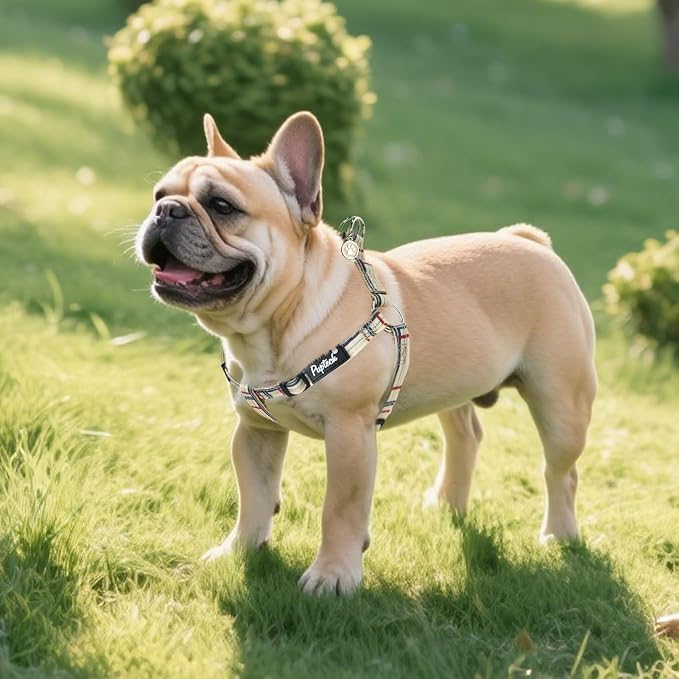 PUPTECK No Pull Dog Harness Medium Sized Step-in Adjustable Puppy Vest | Soft Webbing Basic Halter with ID Tag for Outdoor Walking