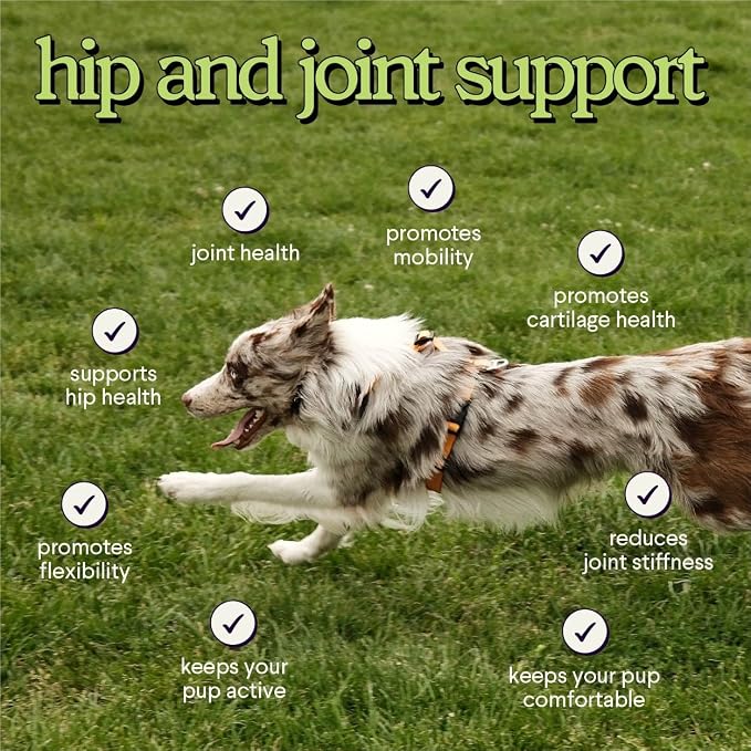 Premium Glucosamine For Dogs – Advanced Hip & Joint Supplement With Glucosamine Chondroitin For Dogs Flexibility, Mobility & Relief – Hip & Joint Supplement With Collagen & MSM – 120 Chews