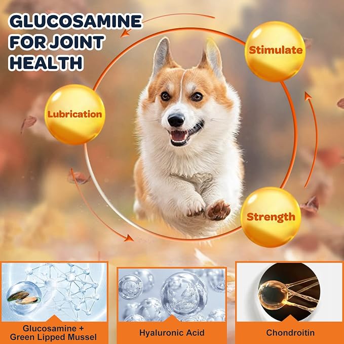 NATURE TARGET Glucosamine Joint Supplement Bundle with Probiotics for Dogs
