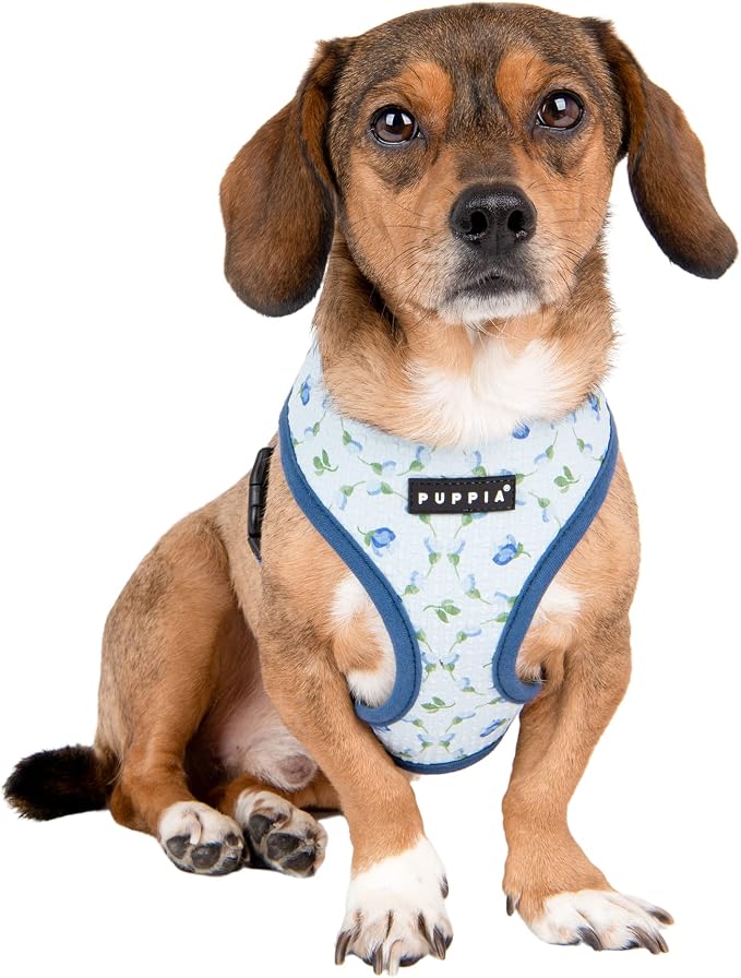 Puppia Spring and Summer Fashion Over-The-Head Dog Harness, Blue_Florian, Extra Large
