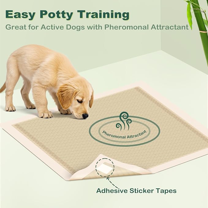 MIZOK Puppy Pads Small 22x22 Pee Pads for Dogs Bamboo Odor Eliminating & 6-Layer Absorbent Leak-Proof Dog Pee Pads Potty Training with Adhesive Tabs, Disposable (50 Counts)