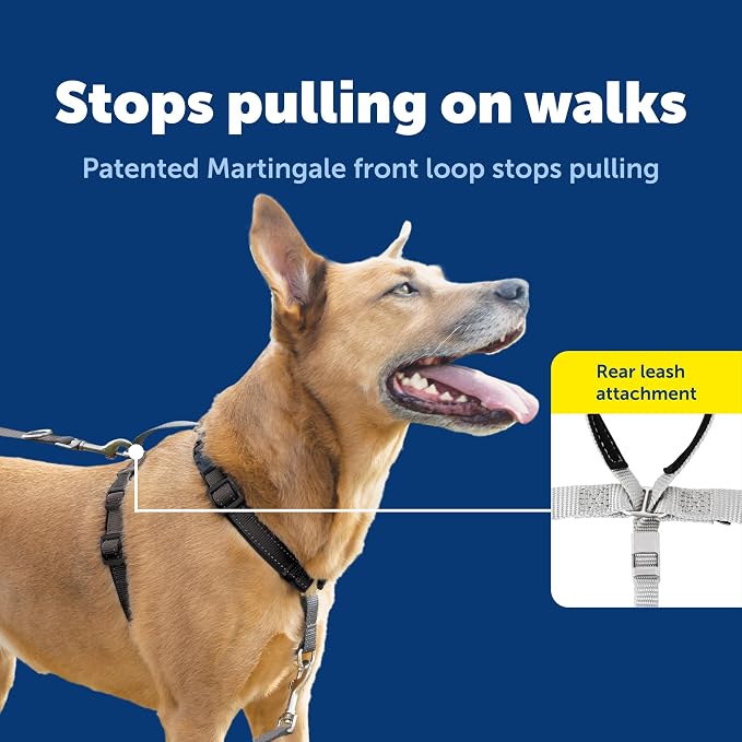 PetSafe Easy Walk 3 in 1 Harness with Two Point Control Leash, Small, Black | Front & Back Leash Attachments Reduce Pulling, 5 Adjustment Points, Includes Car Control Strap, Reflective Nylon