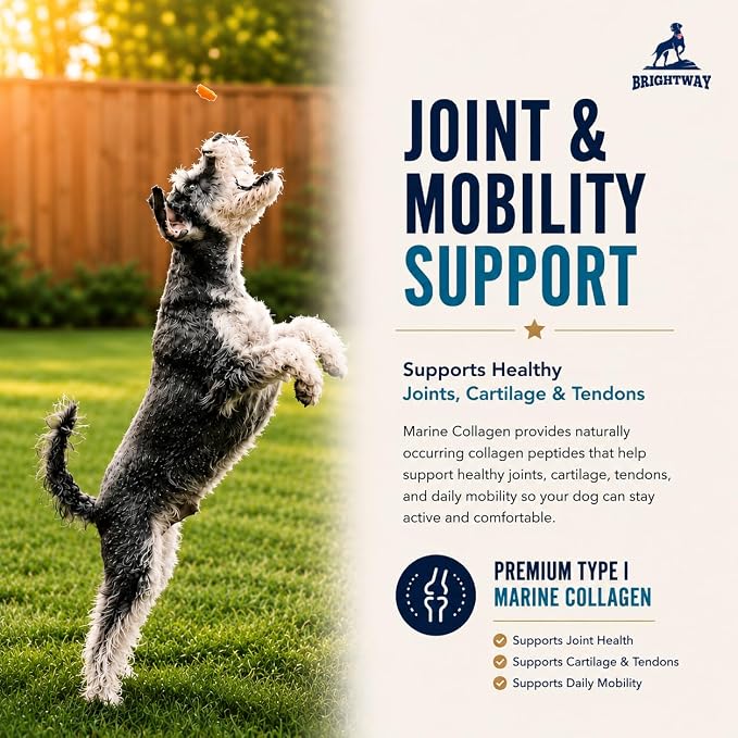 Wild Caught Marine Pet Collagen for Dogs, Peptide for Dogs - Improves Gut, Skin & Coat Health, Allergies, Pet Mobility Hip & Joint Supplement Health