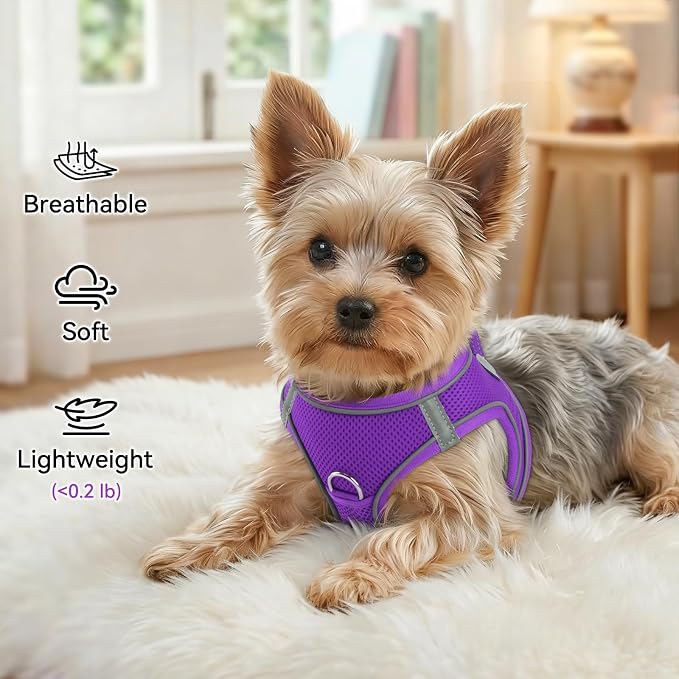 Joytale Step-in Dog Harness, Soft Breathable Mesh, Purple L | Adjustable Fit for Small Dogs, Easy Step-in with Secure Fastener, Even Chest Pressure, Reflective For Night Safety, Washable