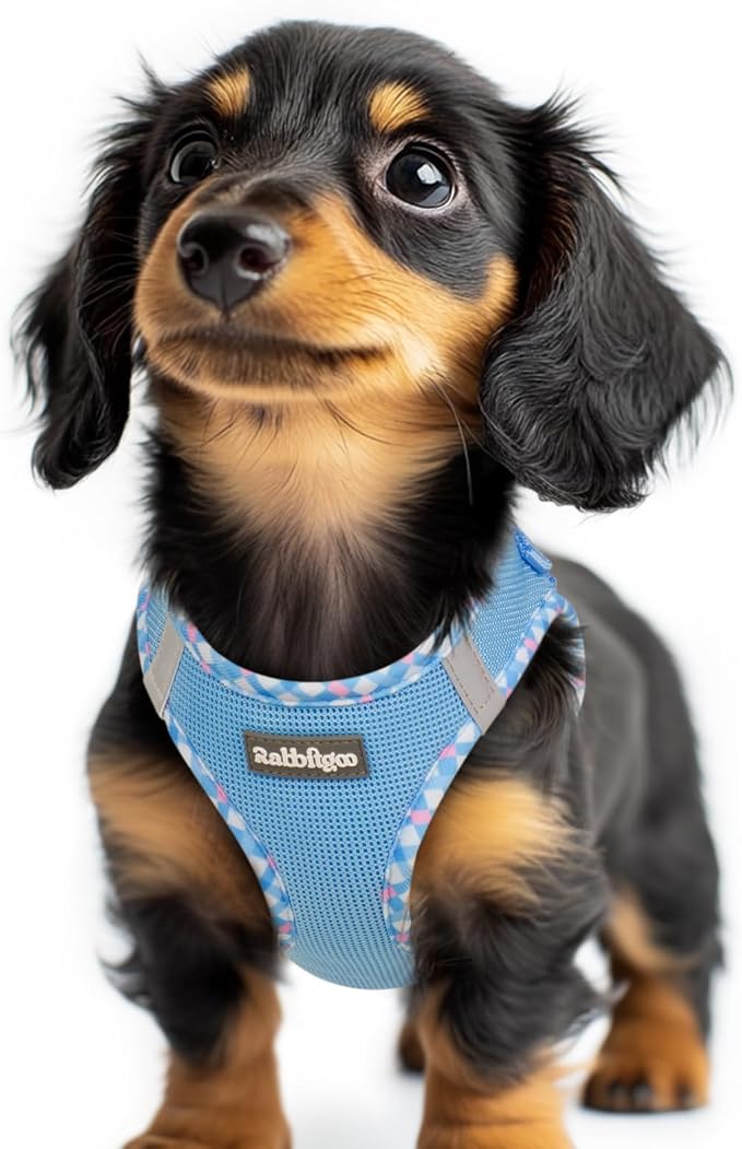 rabbitgoo Step-in Small Dog Harness, Puppy Vest for Small Sized Pet | Easy Put on and off, Lightweight, Soft, Breathable Quick-Dry Air Mesh for Comfortable Secure Walking, Blue & Plaid Trim XXS