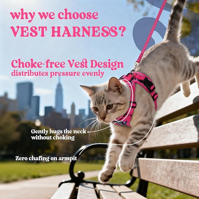 rabbitgoo Cat Harness and Leash Set, Escape Proof Vest, Coconut Fuchsia | Soft Breathable Mesh, Easy Adjustable Fit, Snap Buckles, Sturdy Clip, Reflective Strips, for Kittens & Small Cats Walks, Xxs
