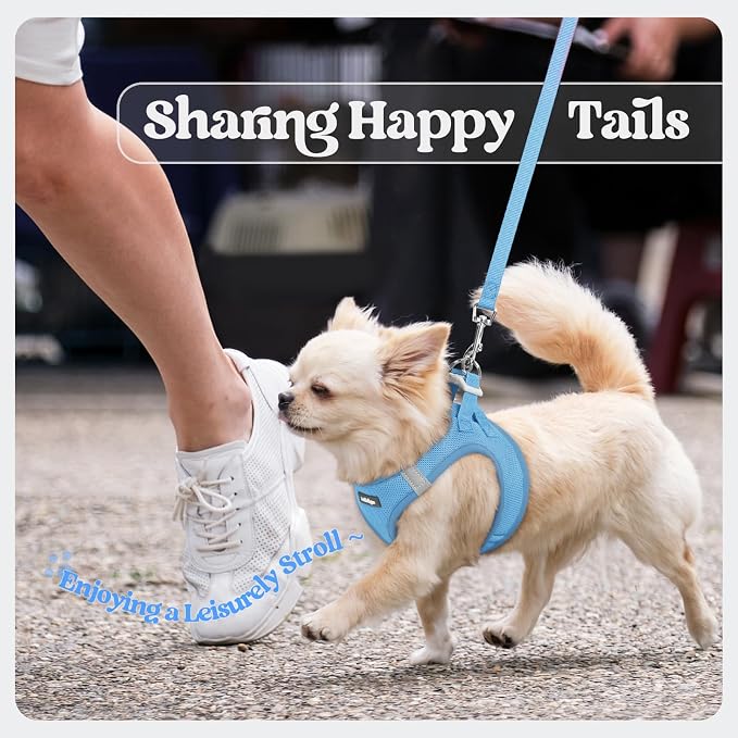 rabbitgoo Dog Harness Small Sized and Leash Set, Step-in Puppy Pet Vest | Light, Soft, Breathable Air Mesh, Easy on and Remove with Hook & Loop, Secure Reflective for Walking, Blue XXS