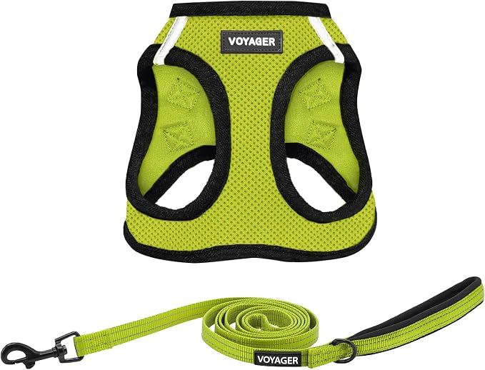 Best Pet Supplies Voyager Step-in Air All Weather Mesh Harness and Reflective Dog 5ft Leash Combo with Neoprene Handle, for Small, Medium and Large Breed Puppies - Lime/Black Trim, XX-Small