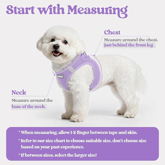 rabbitgoo Dog Harness Medium Sized and Leash Set, Step-in Puppy Pet Vest | Light, Soft, Breathable Air Mesh, Easy on and Remove with Hook & Loop, Secure Reflective for Walking, Light Purple XXL