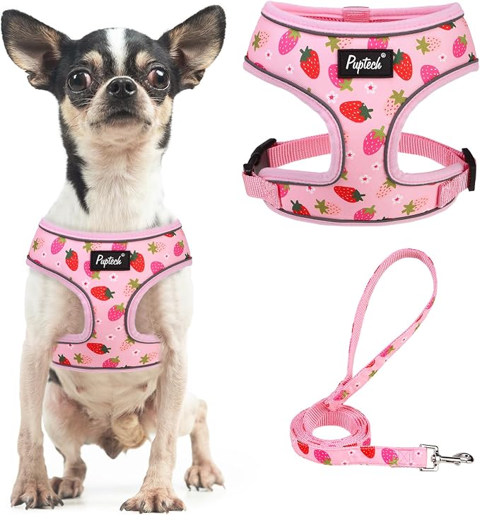 PUPTECK Soft Mesh Dog Harness and Leash Set Pet Puppy Cat Comfort Padded Vest No Pull Harnesses, Strawberry Pink, S