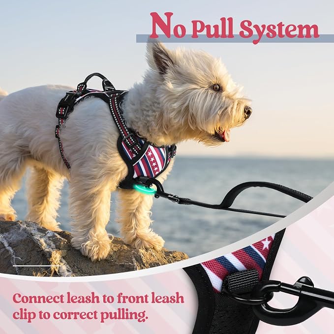 rabbitgoo Dog Harness, No Pull for Small Dogs with 2 Leash Clips, Pet Vest | No Choke with Handle, Adjustable Soft Padded, Reflective, Easy Control for Walking, Red Stripe, X-Small