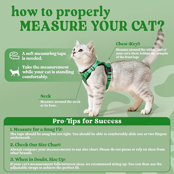 rabbitgoo Cat Harness and Leash Set, Escape Proof Vest, Grass Green | Soft Breathable Mesh, Easy Adjustable Fit, Snap Buckles, Sturdy Clip, Reflective Strips, for Kittens & Small Cats Walks, Xxs