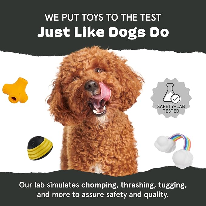 BARK Wild Borris Super Chewer Dog Toy Small | Rip & Reveal Natural Rubber Toy with Treat-Dispensing Core & Wacky Wobble