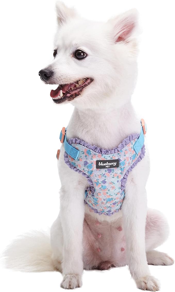 Blueberry Pet Soft & Comfy Made Well Lovely Floral No Pull Mesh Puppy Dog Harness Vest in Lavender, Chest Girth 14"-16", X-Small, Adjustable Harnesses for Dogs & Cats