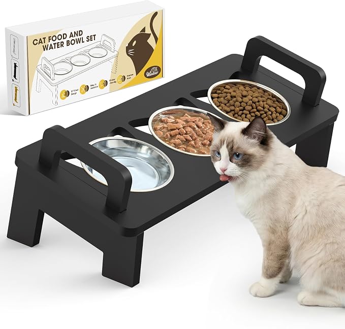 Bamboo Elevated Cat Bowls, 3 Stainless Steel Raised Cat Bowl with Stand, 15°Tilted Cat Feeding Station, Cat Food and Water Bowl Set for Small Cats, Anti Vomitting, Whisker Fatigue (Black)