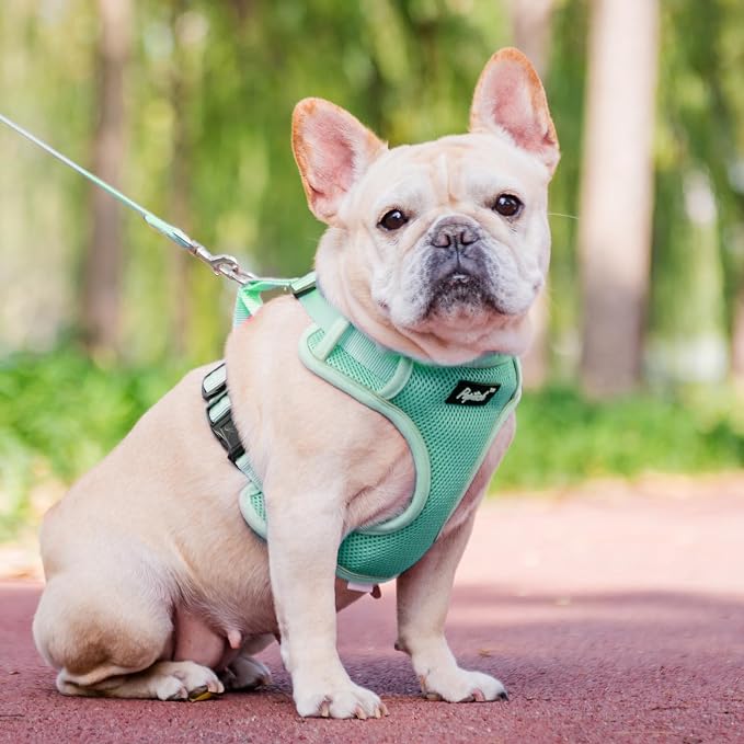 PUPTECK Small Dog Harness and Leash Set, No Pull Adjustable Puppy Cat Harness, Reflective Soft Mesh Pet Vest Small Sized, Green, L