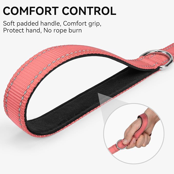 Joytale Reflective Dog Leash for Small Dogs, 5 FT x 3/4", Neon Pink | Heavy Duty Nylon Webbing, Padded Handle for Comfort, Visible at Night, for Walking & Training