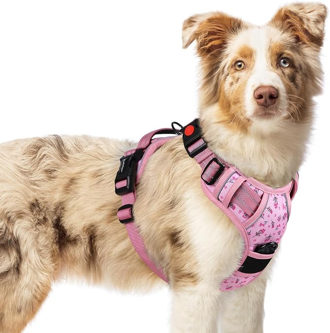 rabbitgoo Dog Harness Medium Sized, Updated Easy On & Off with 3 Buckles | No Pull No Choke, Walking with 2 Clips and Handle, Adjustable Soft Reflective, Floral Pink, Medium