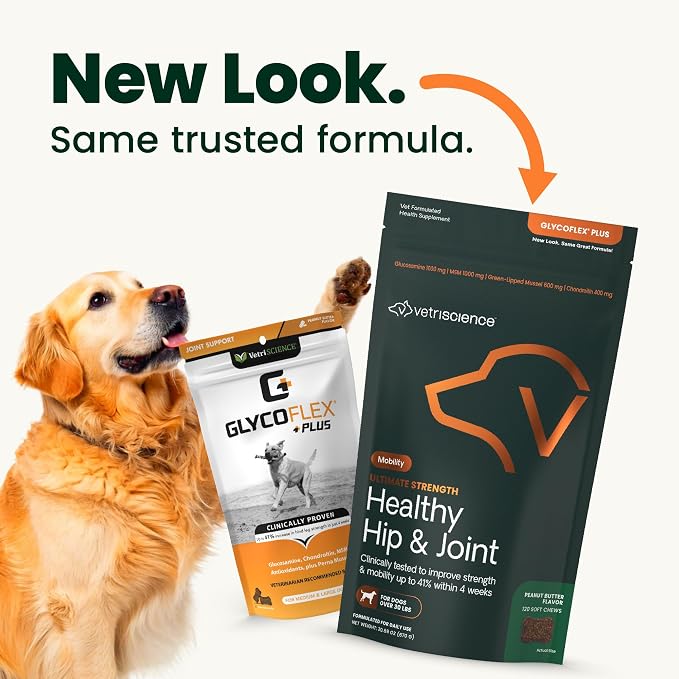 VetriScience Ultimate Strength Hip & Joint Supplement for Dogs, GlycoFlex Plus – MSM, Chondroitin & Green-Lipped Mussel Chews for Mobility, Flexibility, Comfort & Support, Peanut Butter Flavor 120 Cnt