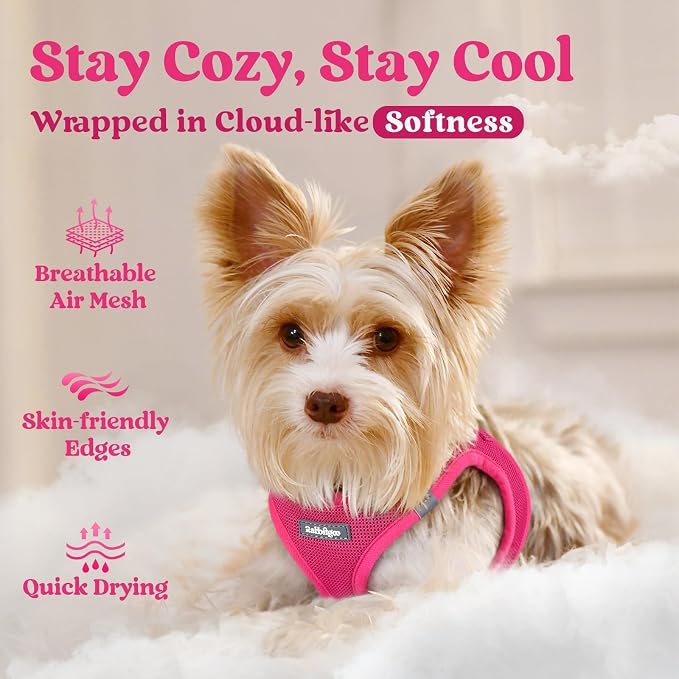 rabbitgoo Step-in Small Dog Harness, Puppy Vest for Small Sized Pet | Easy Put on and off, Lightweight, Soft, Breathable Quick-Dry Air Mesh for Comfortable Secure Walking, Rose Red XXS