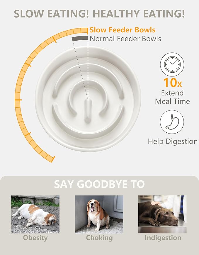 Ceramic Slow Feeder Dog Bowls, 2.0 Cups Slow Feeder for Medium Dogs, Puzzle Maze Bowl to Slow Down Eating, 30oz, 8in, White