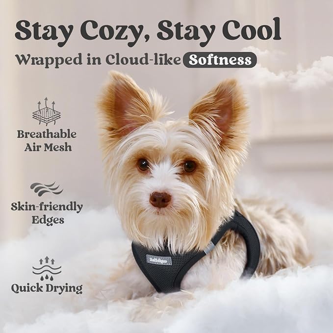 rabbitgoo Step-in Small Dog Harness, Puppy Vest for Medium Sized Pet | Easy Put on and off, Lightweight, Soft, Breathable Quick-Dry Air Mesh for Comfortable Secure Walking, Black XXL