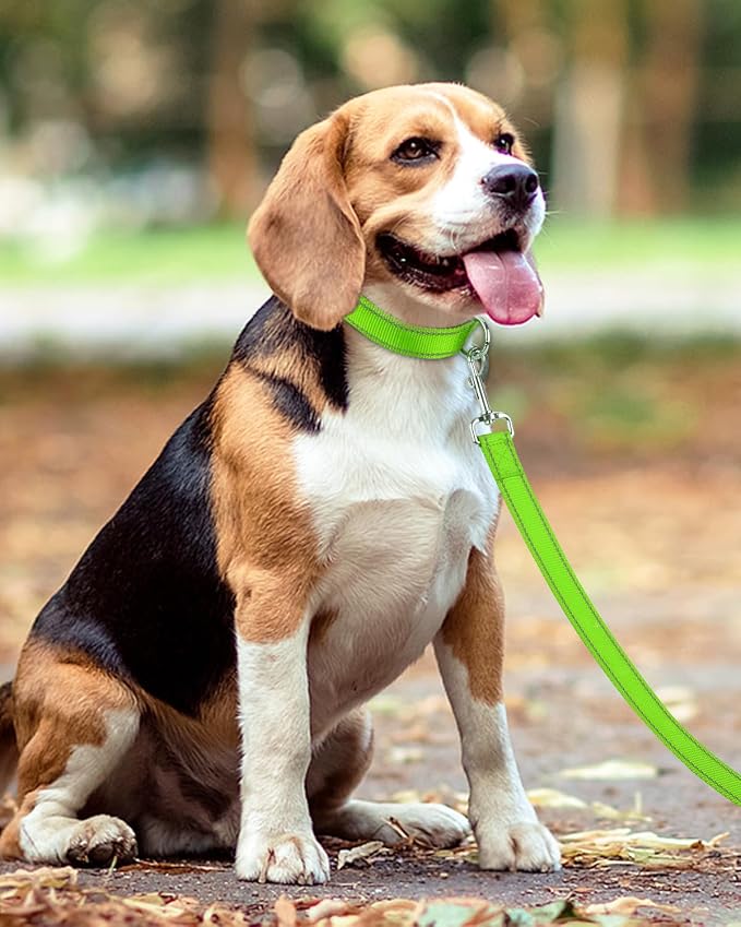 Taglory Reflective Dog Leash for Medium Large Dogs, 1in x 5ft, Neon Green | Ideal for Night Walking, Strong for Sudden Pulls, Lightweight & Gentle on the Neck, Soft Padded Handle