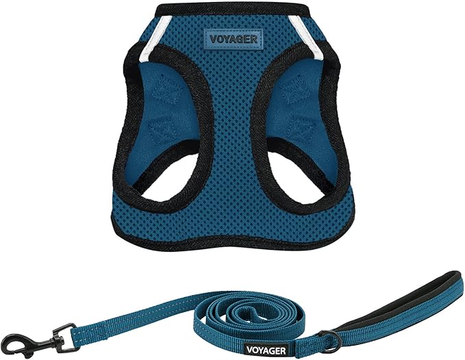 Best Pet Supplies Voyager Step-in Air All Weather Mesh Harness and Reflective Dog 5ft Leash Combo with Neoprene Handle, for Small, Medium and Large Breed Puppies - Blue/Black Trim, Medium