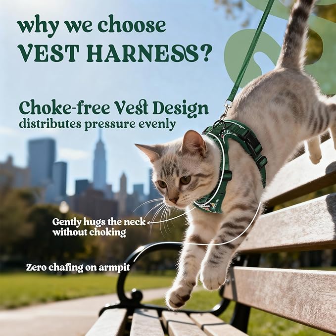 rabbitgoo Cat Harness and Leash Set, Escape Proof Vest, Rainforest Green | Soft Breathable Mesh, Easy Adjustable Fit, Snap Buckles, Sturdy Clip, Reflective Strips, for Medium to Large Cats Walks, M